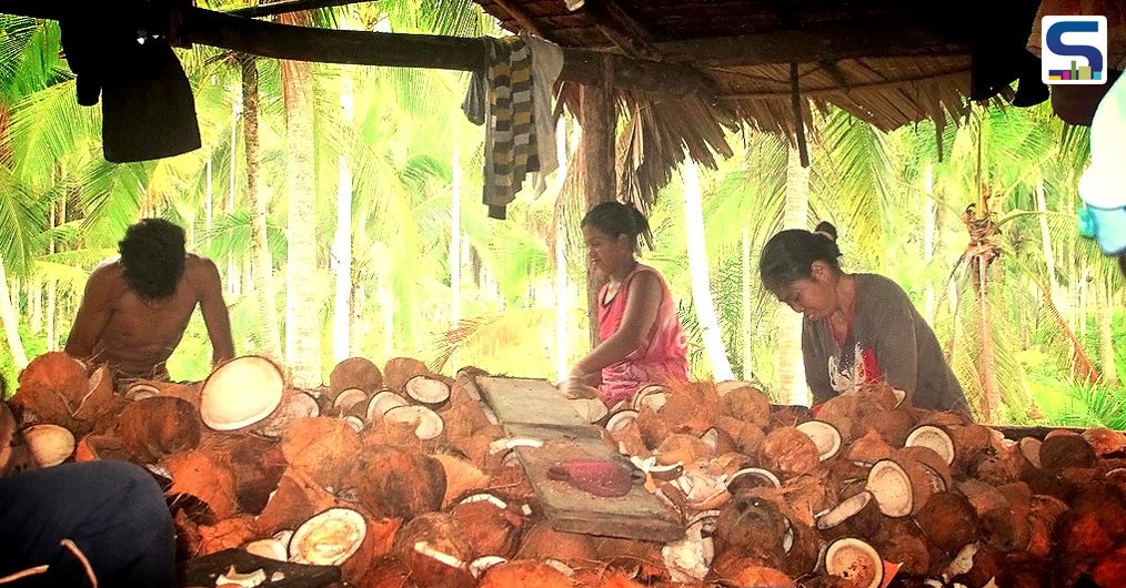 Waste Coconut Husks
